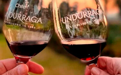 Servicios Tranfers 45 Tour Viñedos